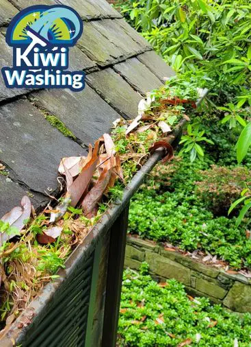 gutter-cleaning-Before-01