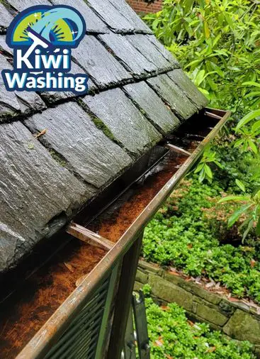 gutter-cleaning-after-01