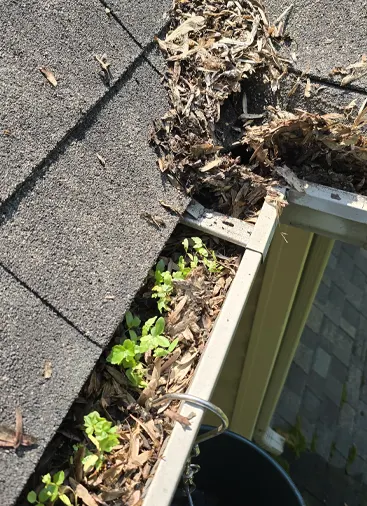 gutter-cleaning-comparation-02