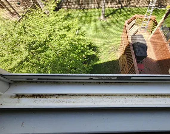 sills-kiwiwashing-01