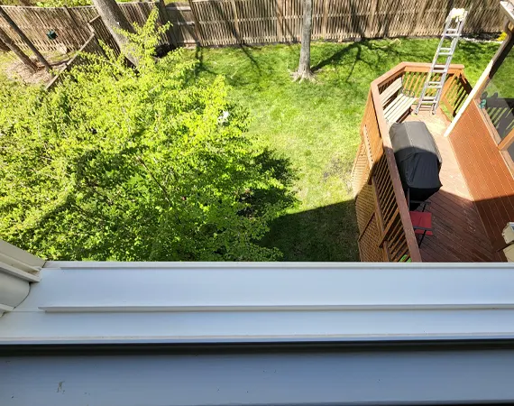 sills-kiwiwashing-02