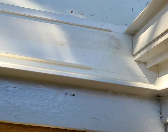 sills-kiwiwashing-03