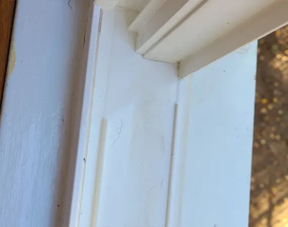 sills-kiwiwashing-05